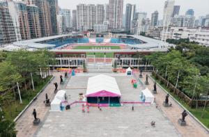 已编辑图片